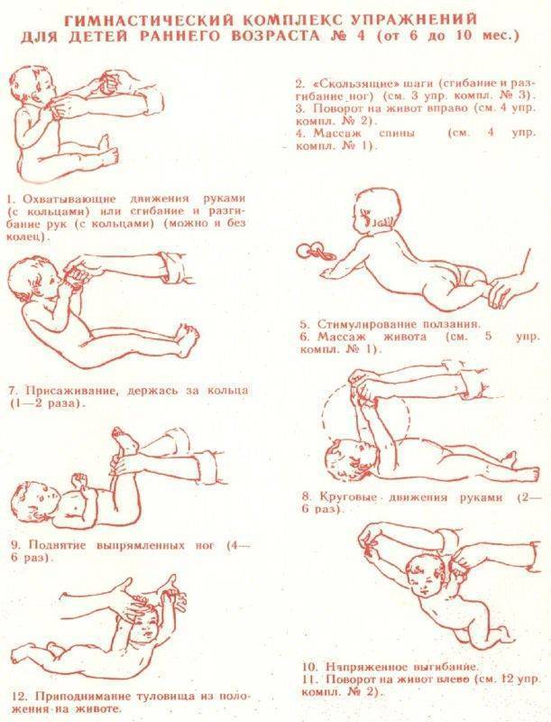 Гимнастика для новорожденных и грудных детей