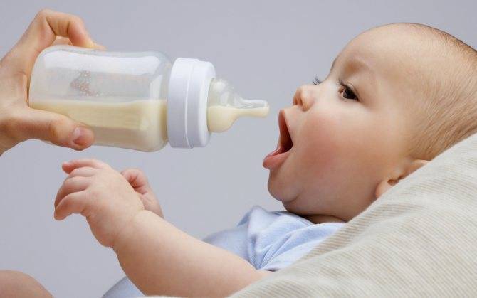 С какого возраста можно давать козье молоко ребенку: польза и вред, для грудных детей, до года