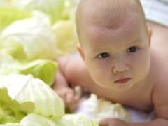 С какого возраста можно давать ребенку белокочанную капусту и почему существуют ограничения?