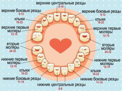 Симптомы и последовательность прорезывания зубов у ребенка