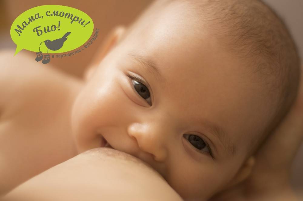 Как часто кормить новорожденного грудным молоком?