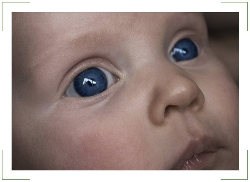Зрение у новорожденных: этапы развития