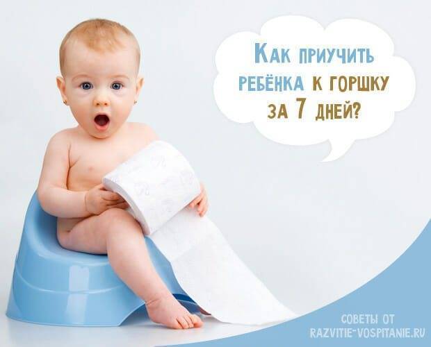 Как приучить ребёнка ходить в горшок по большому - как приучить ребенка какать в горшок - запись пользователя марина (klavabliad) в сообществе воспитание, психология - от года до трех в категории дорога к горшку - babyblog.ru