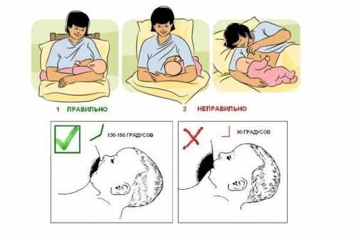 Позы для кормления грудью, или как правильно держать ребенка