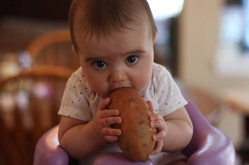 Со скольких месяцев можно вводить в прикорм ребенка картофельное пюре?