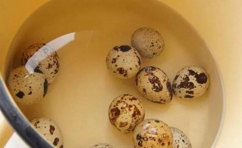 Перепелиные яйца для детей: польза, когда можно употреблять