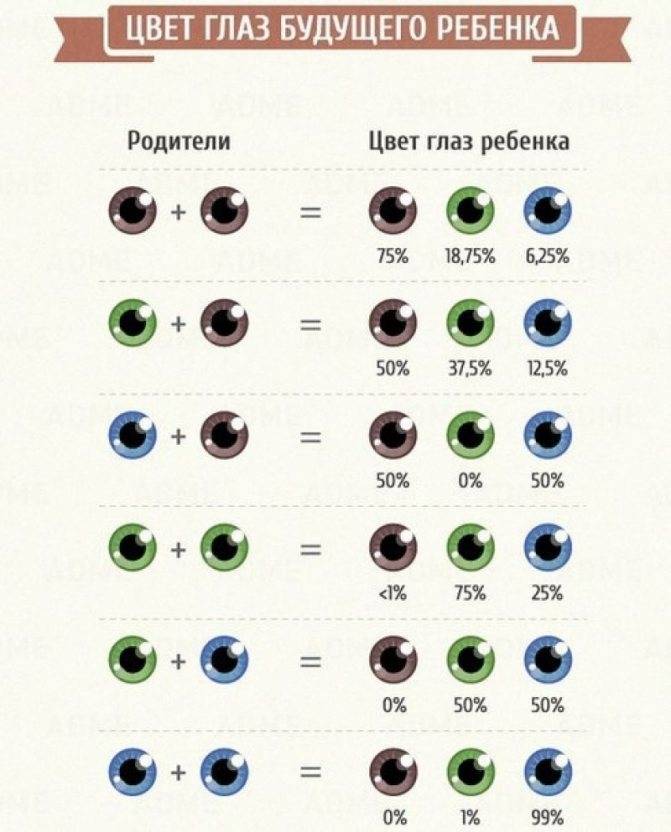 Когда меняется цвет глаз у детей - цвет глаз у ребенка до года - стр. 3 - запись пользователя nadin19 (id911811) в сообществе развитие от рождения до года в категории внешность и красота - babyblog.ru