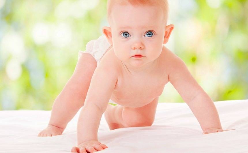 Ребенок в 5 6 месяцев: что должен уметь, игры, упражнения, особенности зрения и слуха - календарь развития ребенка