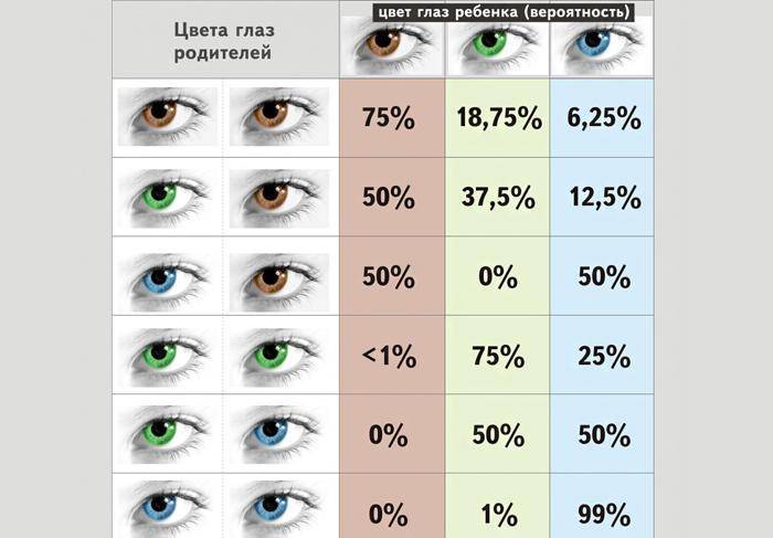 Таблица определения цвета глаз у ребёнка от родителей: как понять и использовать